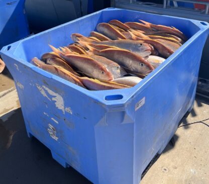 Fishing Boat Licence