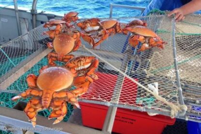 Primary Commercial Fishing Licence